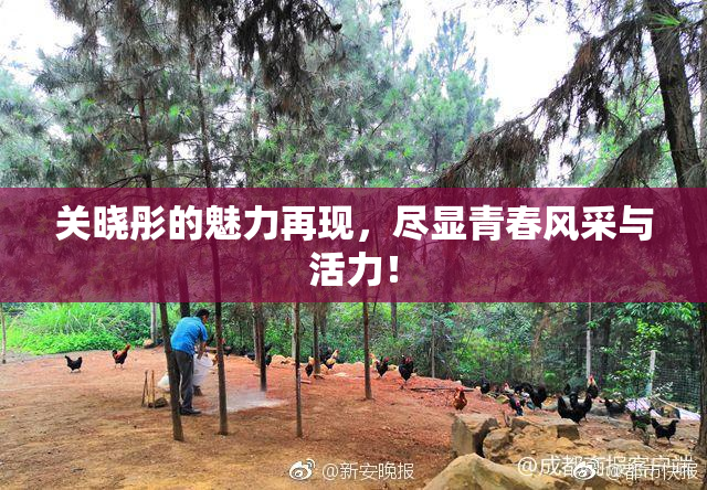 关晓彤的魅力再现，尽显青春风采与活力！