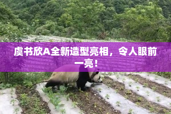 虞书欣A全新造型亮相，令人眼前一亮！