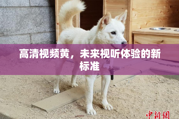 高清视频黄，未来视听体验的新标准