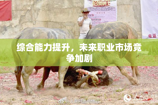 综合能力提升，未来职业市场竞争加剧