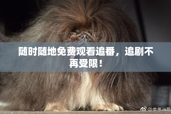 随时随地免费观看追番，追剧不再受限！