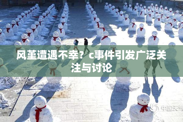 风堇遭遇不幸？c事件引发广泛关注与讨论