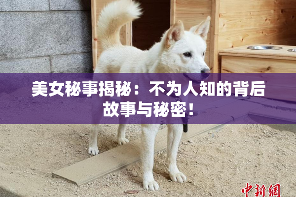 美女秘事揭秘：不为人知的背后故事与秘密！
