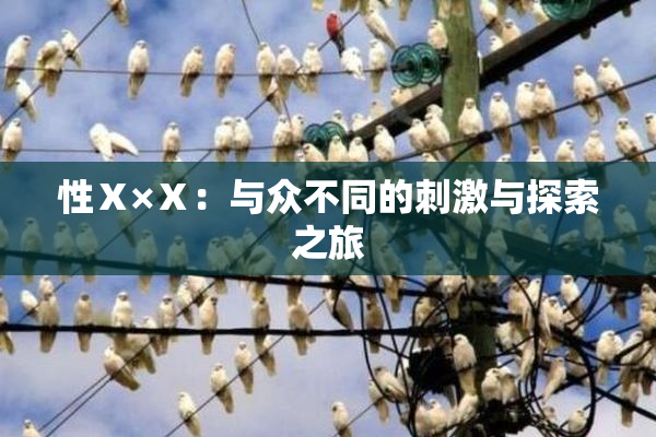 性Ⅹ×Ⅹ：与众不同的刺激与探索之旅