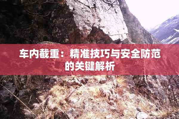 车内截重：精准技巧与安全防范的关键解析