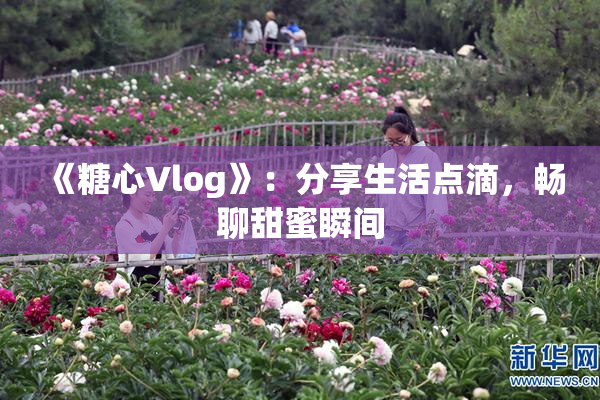 《糖心Vlog》：分享生活点滴，畅聊甜蜜瞬间