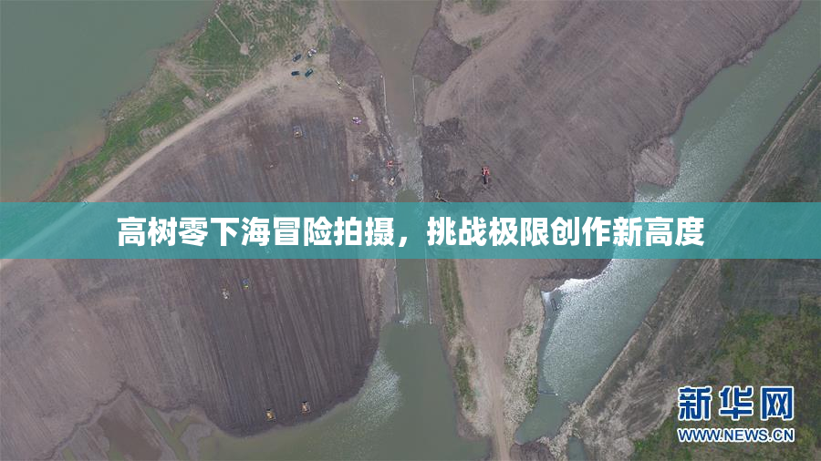 高树零下海冒险拍摄，挑战极限创作新高度