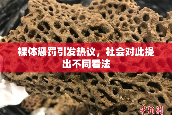 裸体惩罚引发热议，社会对此提出不同看法