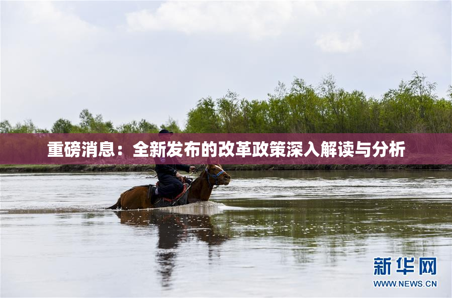 重磅消息：全新发布的改革政策深入解读与分析