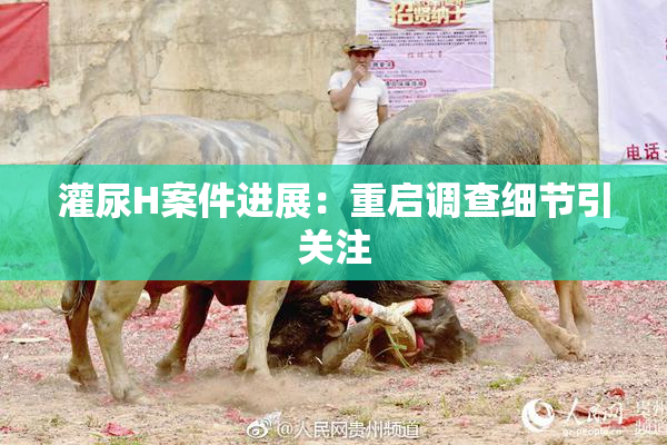 灌尿H案件进展：重启调查细节引关注