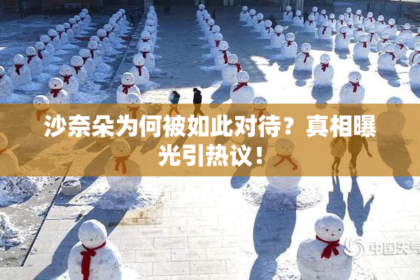 沙奈朵为何被如此对待？真相曝光引热议！