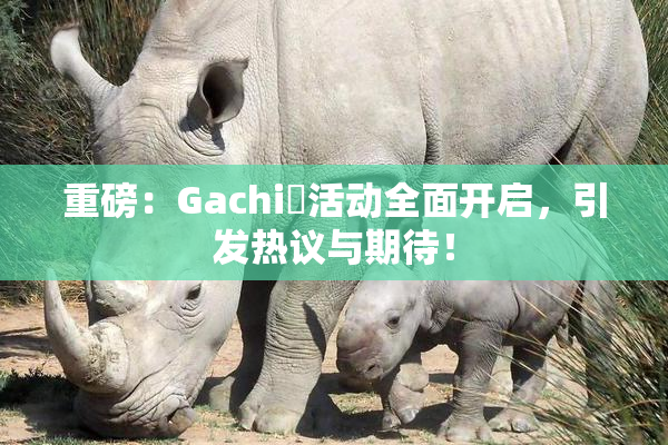 重磅：Gachi籣活动全面开启，引发热议与期待！