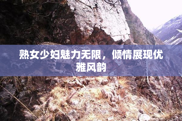 熟女少妇魅力无限，倾情展现优雅风韵
