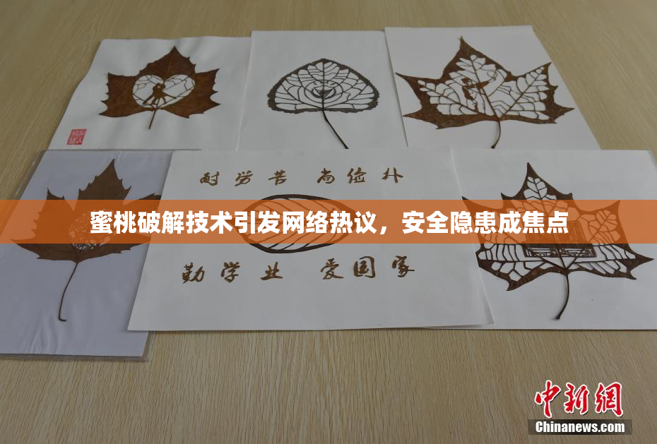 蜜桃破解技术引发网络热议，安全隐患成焦点