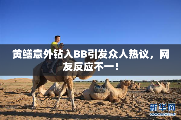黄鳝意外钻入BB引发众人热议，网友反应不一！