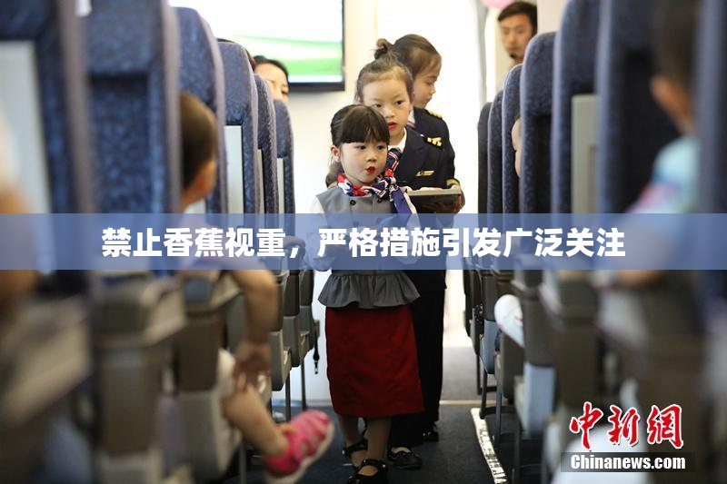 禁止香蕉视重，严格措施引发广泛关注