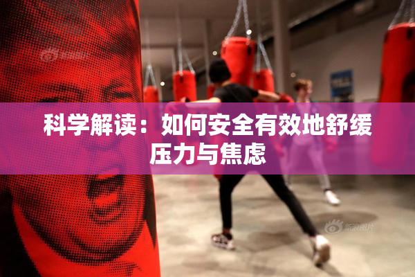 科学解读：如何安全有效地舒缓压力与焦虑