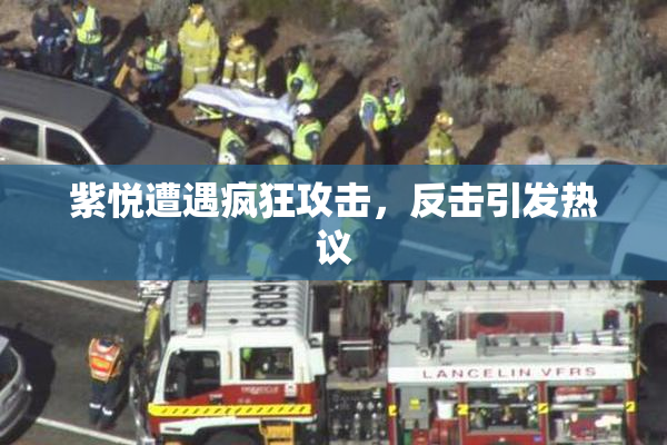 紫悦遭遇疯狂攻击，反击引发热议