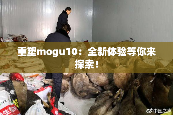 重塑mogu10：全新体验等你来探索！