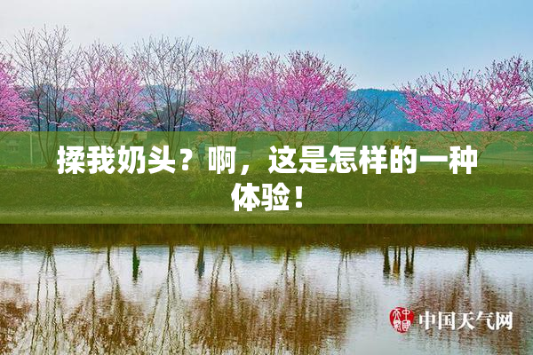 揉我奶头？啊，这是怎样的一种体验！