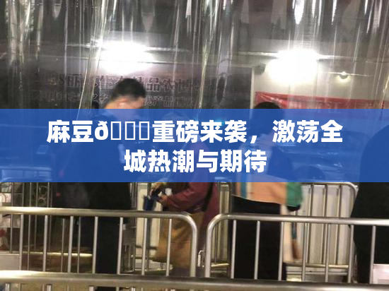 麻豆🔞重磅来袭，激荡全城热潮与期待