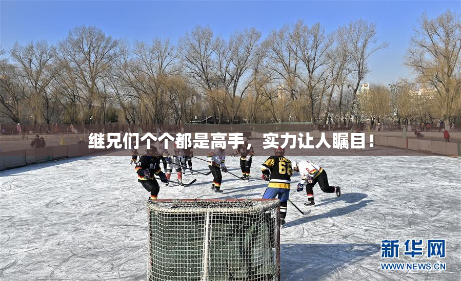 继兄们个个都是高手，实力让人瞩目！