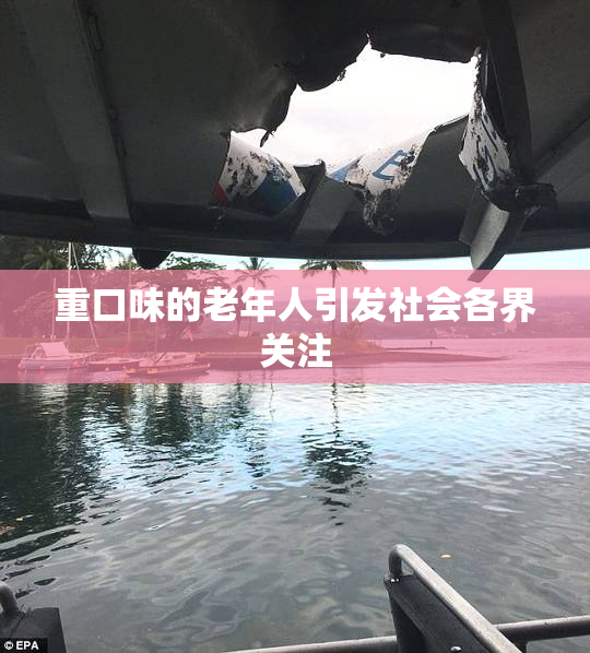 重口味的老年人引发社会各界关注