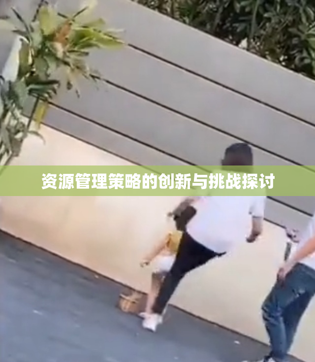 资源管理策略的创新与挑战探讨
