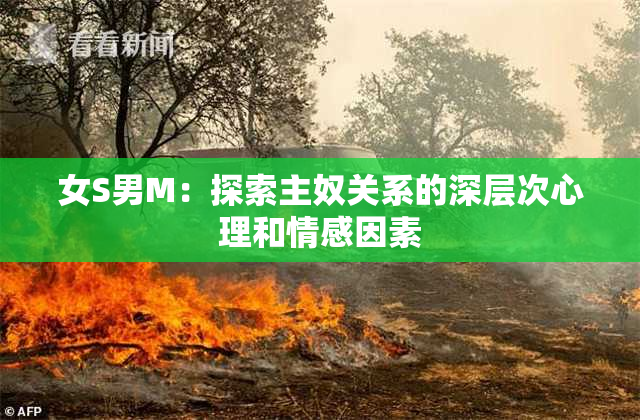 女S男M：探索主奴关系的深层次心理和情感因素