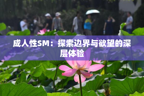成人性SM：探索边界与欲望的深层体验
