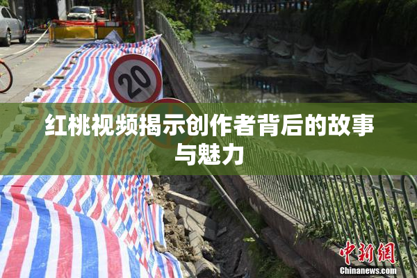 红桃视频揭示创作者背后的故事与魅力