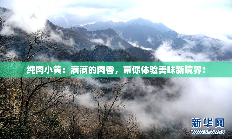 纯肉小黄：满满的肉香，带你体验美味新境界！