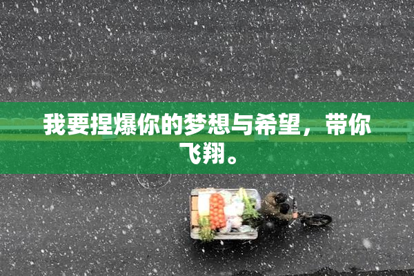 我要捏爆你的梦想与希望，带你飞翔。