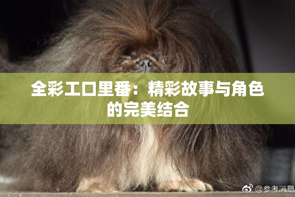 全彩工口里番：精彩故事与角色的完美结合