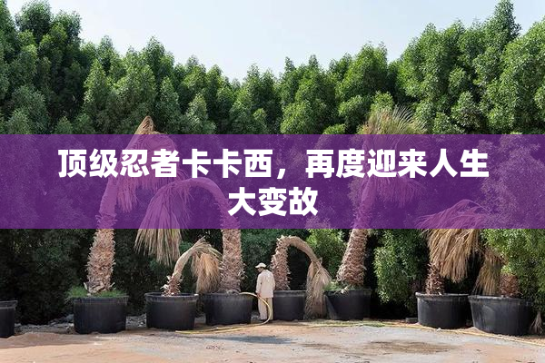 顶级忍者卡卡西，再度迎来人生大变故