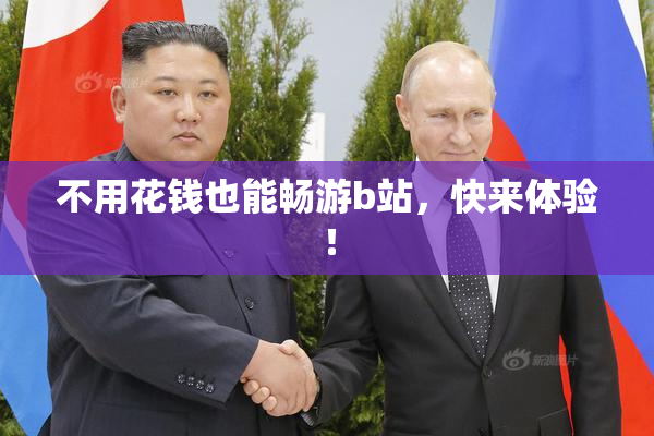 不用花钱也能畅游b站，快来体验！