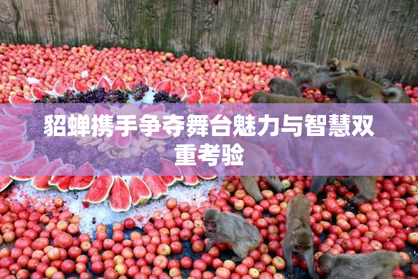貂蝉携手争夺舞台魅力与智慧双重考验