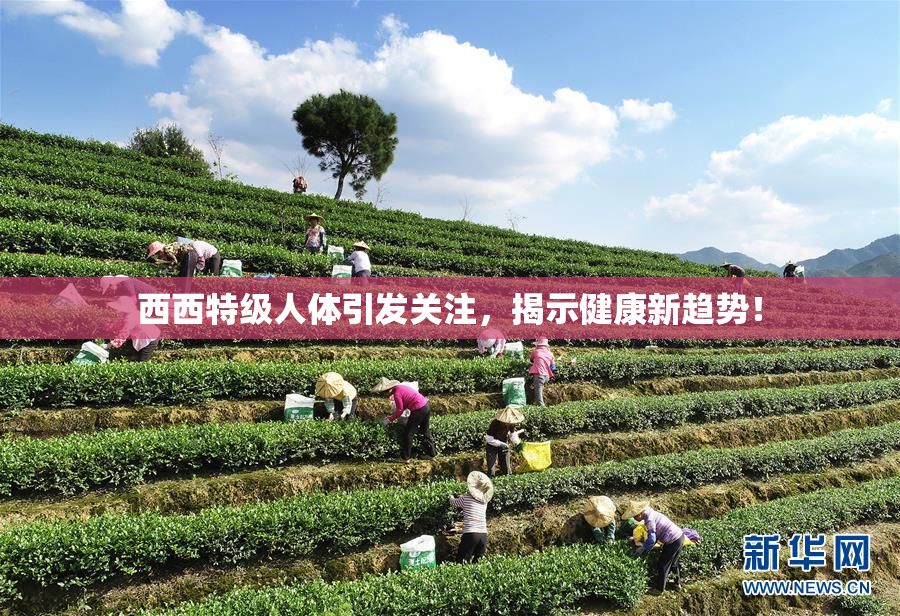 西西特级人体引发关注，揭示健康新趋势！