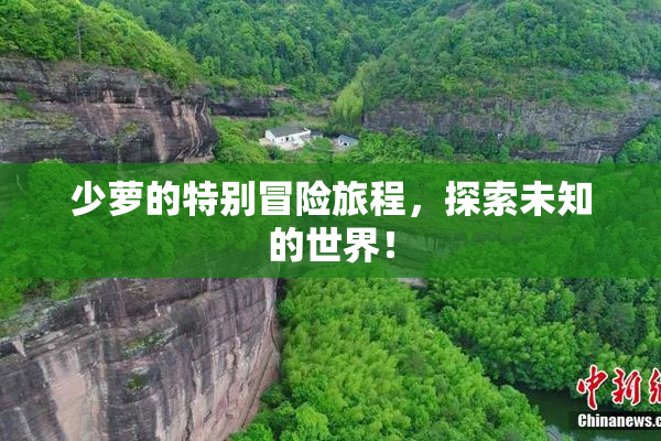 少萝的特别冒险旅程，探索未知的世界！