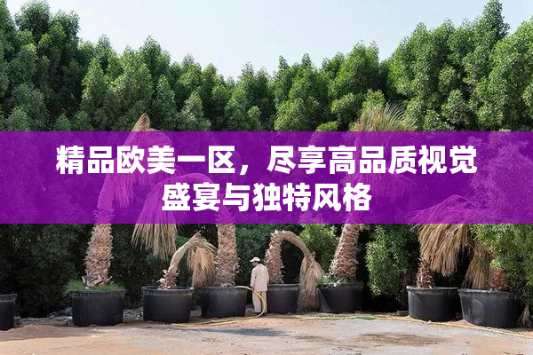 精品欧美一区，尽享高品质视觉盛宴与独特风格