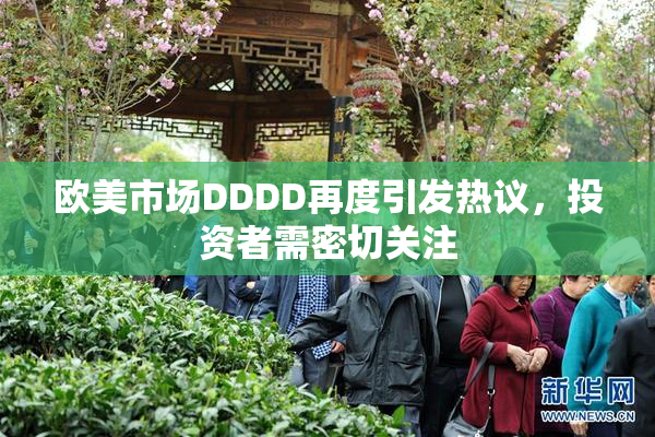 欧美市场DDDD再度引发热议，投资者需密切关注