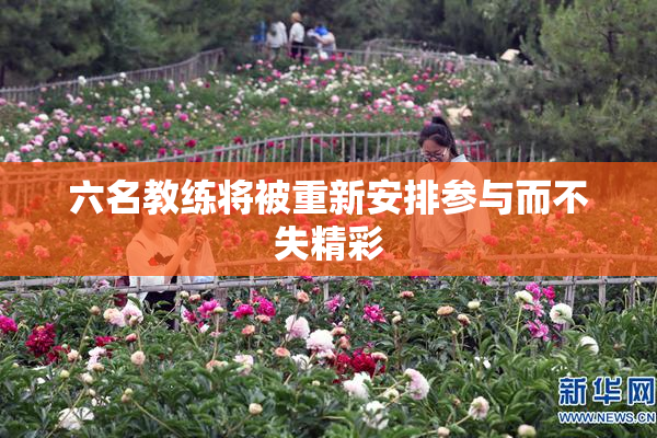 六名教练将被重新安排参与而不失精彩