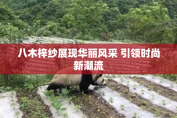 八木梓纱展现华丽风采 引领时尚新潮流