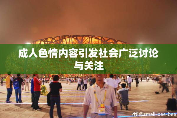 成人色情内容引发社会广泛讨论与关注