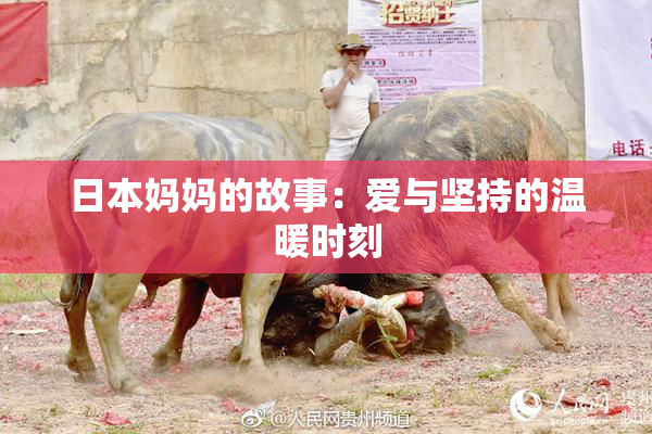 日本妈妈的故事：爱与坚持的温暖时刻