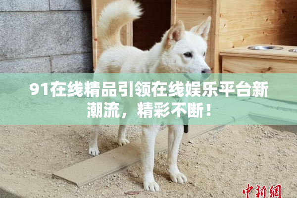 91在线精品引领在线娱乐平台新潮流，精彩不断！