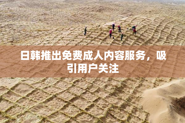 日韩推出免费成人内容服务，吸引用户关注