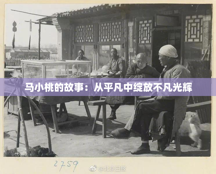马小桃的故事：从平凡中绽放不凡光辉