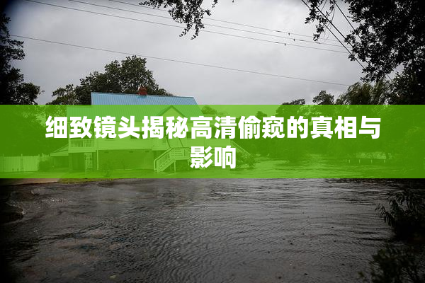 细致镜头揭秘高清偷窥的真相与影响