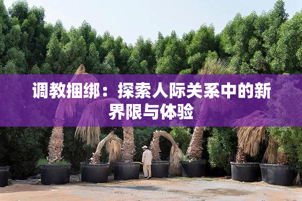 调教捆绑：探索人际关系中的新界限与体验